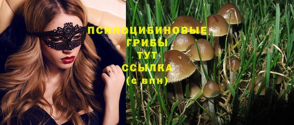 мяу мяу мука Михайлов