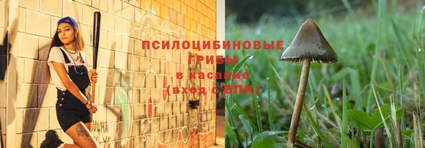мяу мяу мука Михайлов