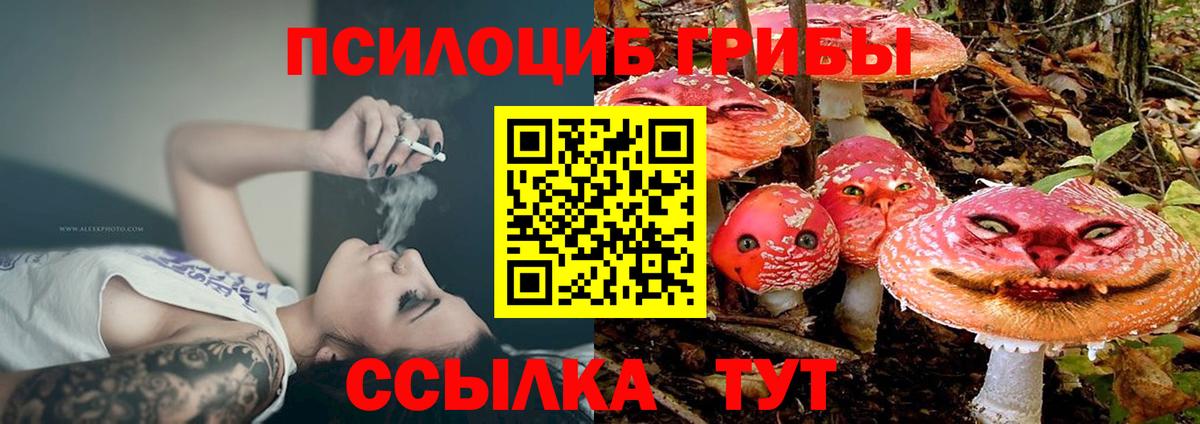 Галлюциногенные грибы Psilocybe  Вход с VPN  Муром  Псилоцибиновые грибы Magic Shrooms 