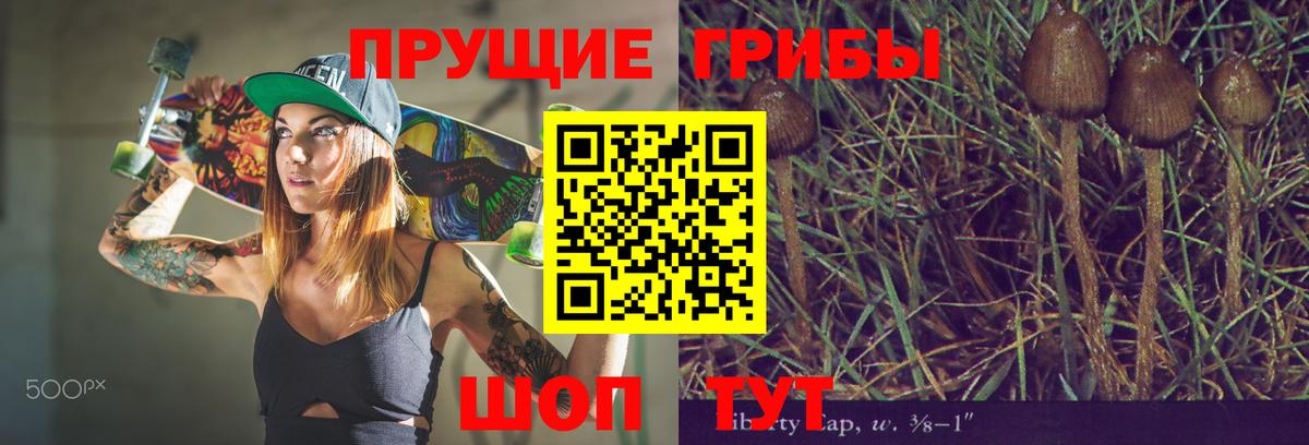 Галлюциногенные грибы Psilocybine cubensis Муром